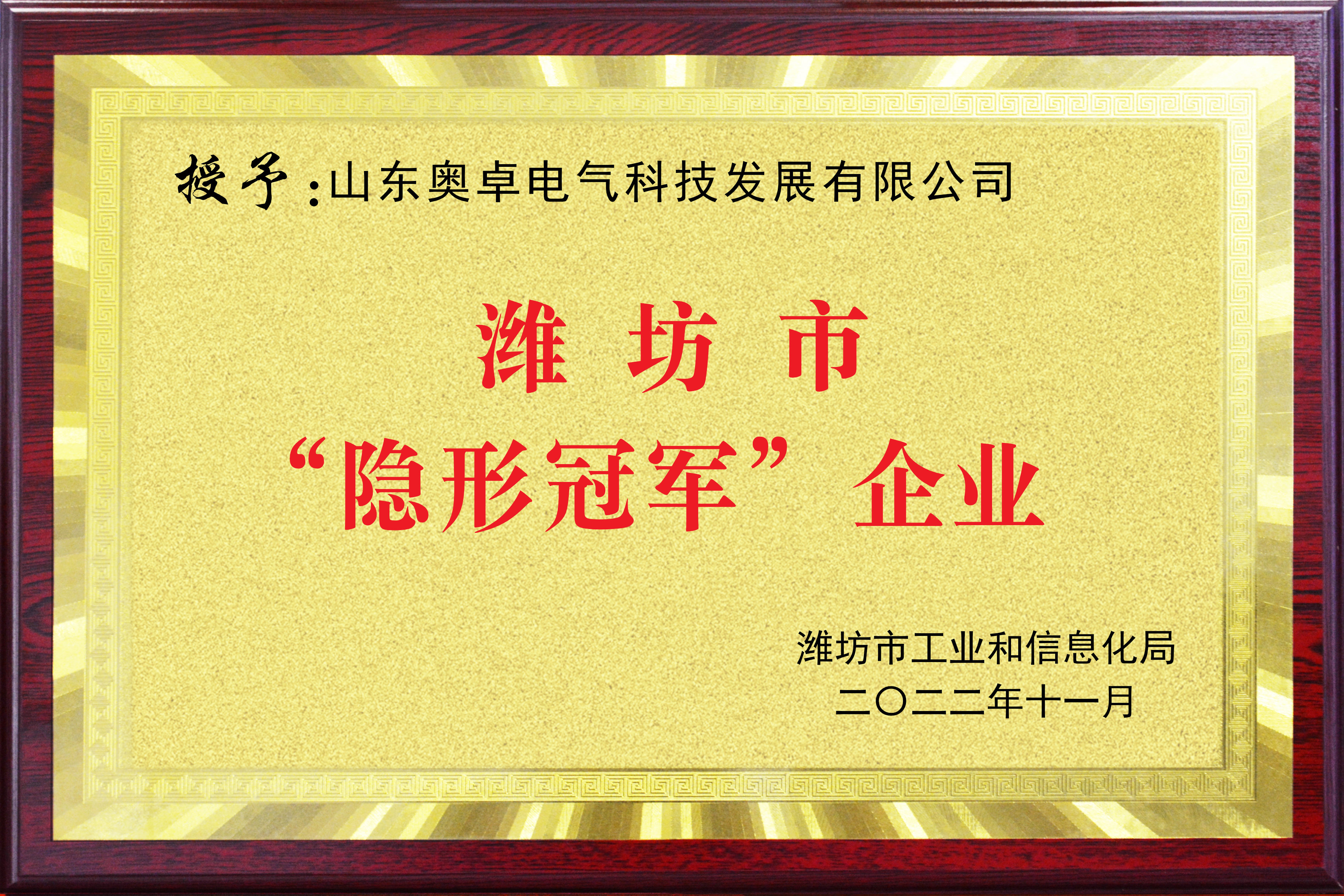 潍坊市隐形冠军企业