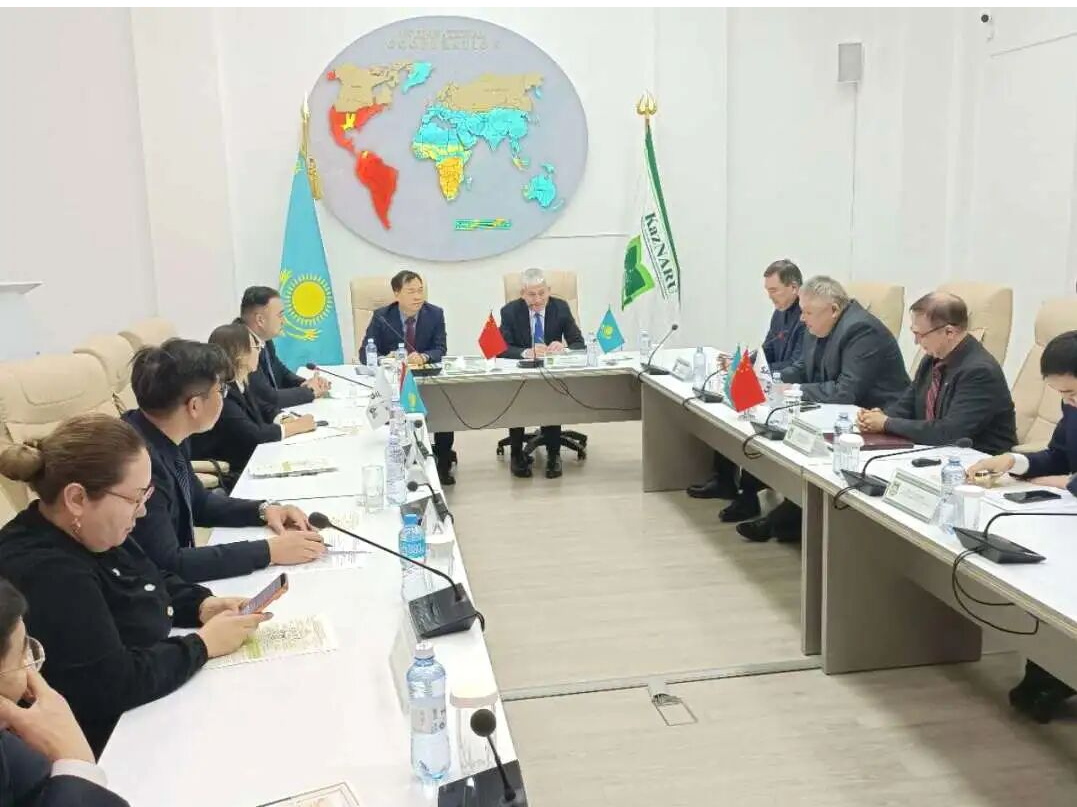 精准对接中亚资源,聚力深耕产业协同 | 中 ...